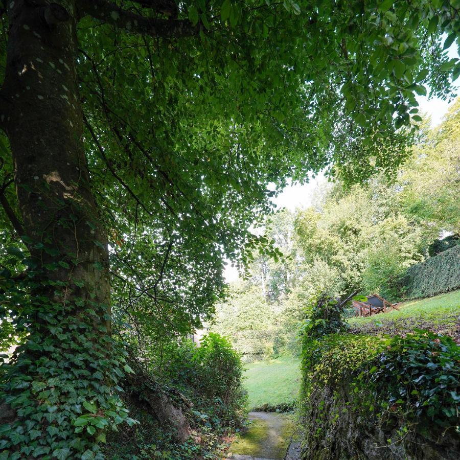 Les Terrasses des Falizes B&B Rochefort Exterior foto